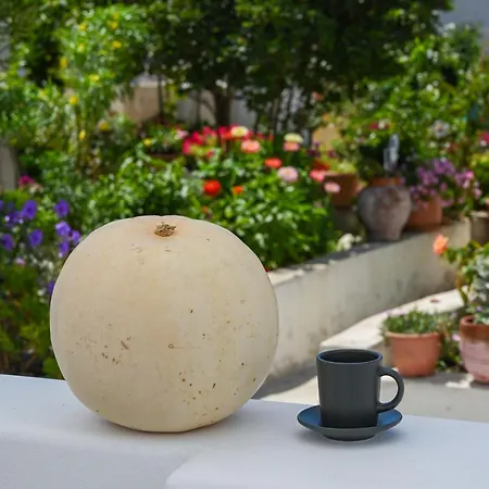 Dream House Διαμέρισμα