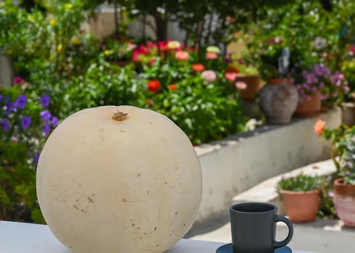 Dream House Apartment